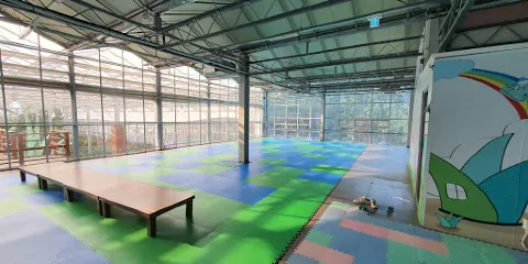 巨濟蘆薈主題公園