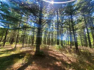 Nordic Skiing and Hiking Trails