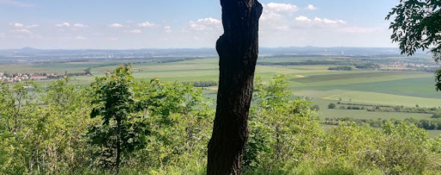 Kleneč