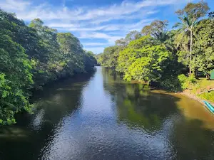Freme Rainforest Lodge