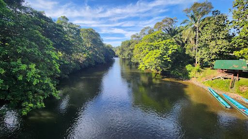 Freme Rainforest Lodge