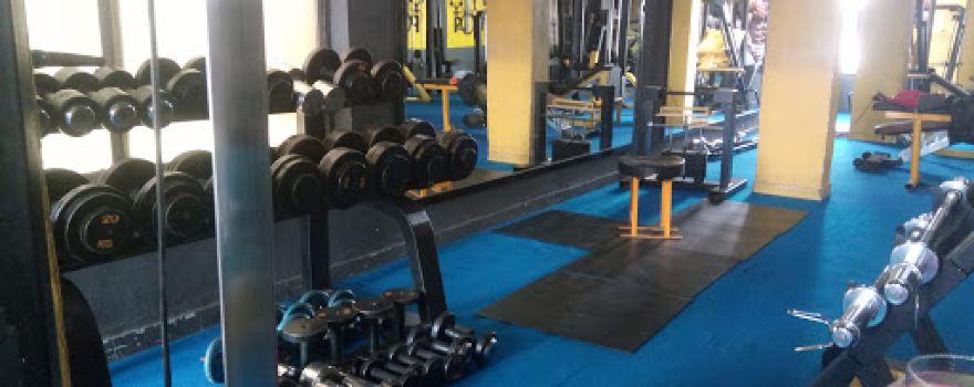 Ultimate Luxury Gym health & Fitness Center