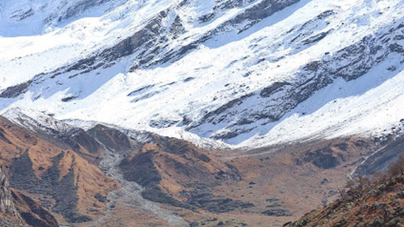 Api Base Camp(South),Darchula