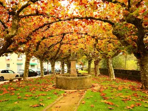 Parque da Alameda