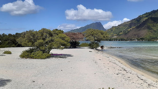 Captain Taina - IRIOA Island Picnic