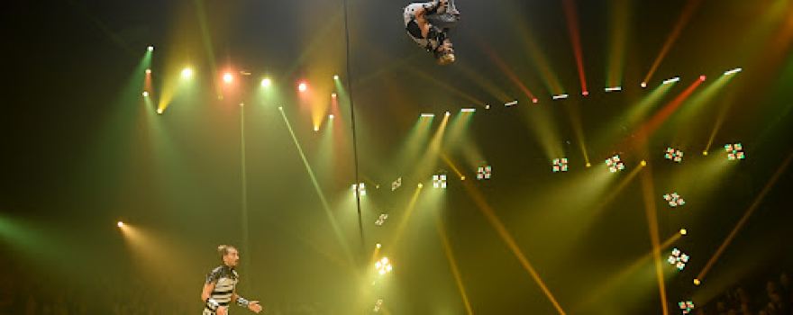 Gebr. Knie, Schweizer National-Circus AG