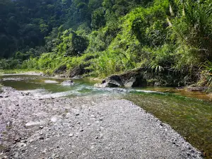 Los Reyitos Los Mineros Los Cacaos SC LHT
