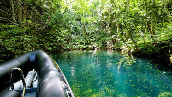 リブパイオニア