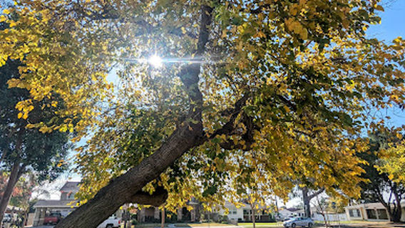Northside Park