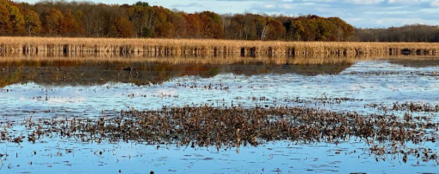 Bakken's Pond State Natural Area
