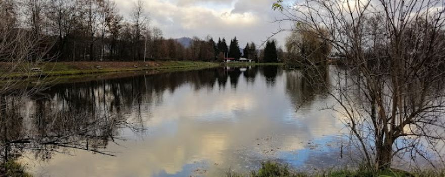 Peste Zeltweg