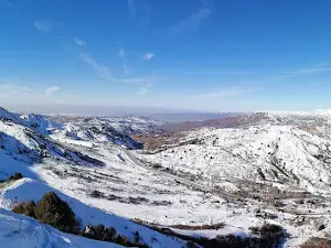 Chimyon kanat
