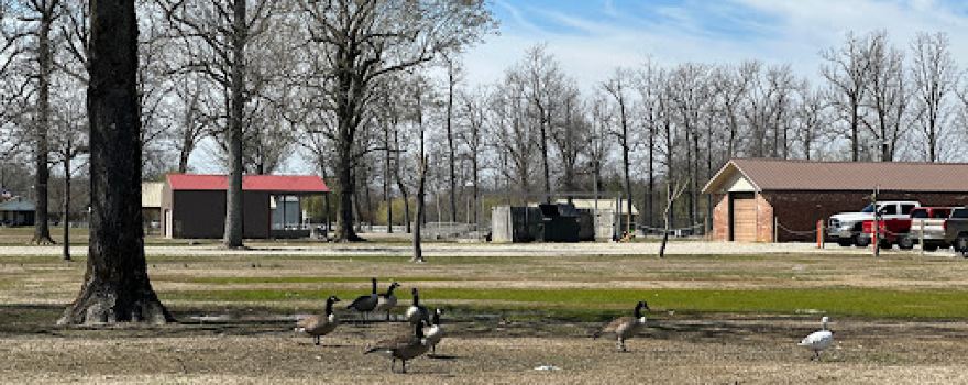 Reynolds Park