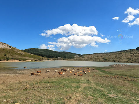 Biviere Lake