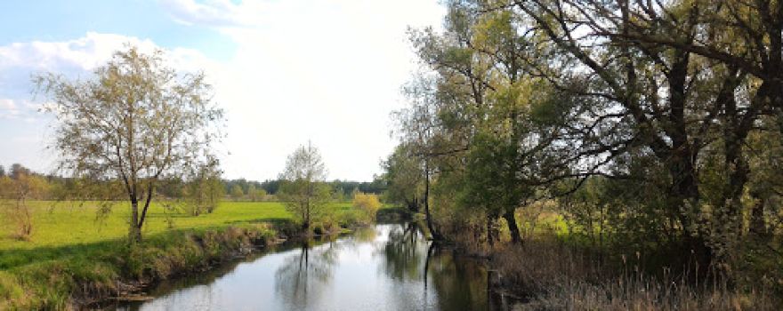 Park Molodozhnyy