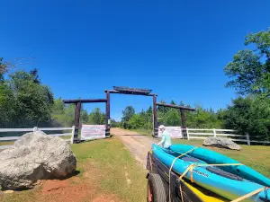 Lilypad Adventures