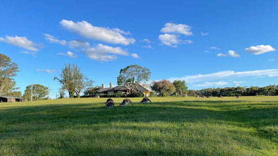 Cattai National Park