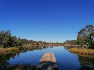 First Camp Gunnarsö - Oskarshamn