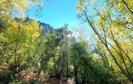 Güllük Dağı Termessos Milli Parkı