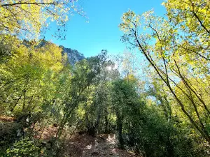 Güllük Dağı Termessos Milli Parkı