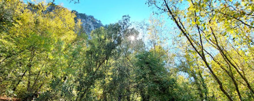 Güllük Dağı Termessos Milli Parkı