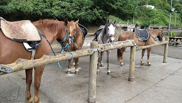 Club Hípic l'Aldosa