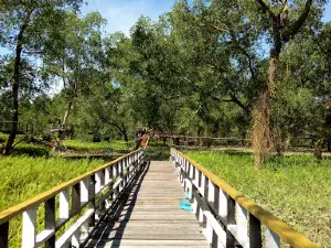 Taman Hutan Manggrove Tana Tidung