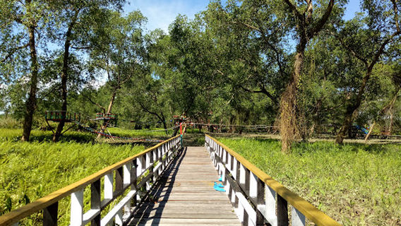 Taman Hutan Manggrove Tana Tidung