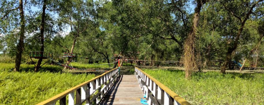 Taman Hutan Manggrove Tana Tidung