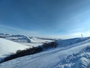 Sportivnaya Shkola "Kuvandyk365"