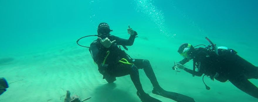 Dive Pro Fuerte