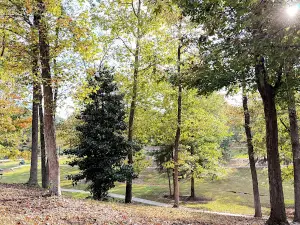 Maysville Park