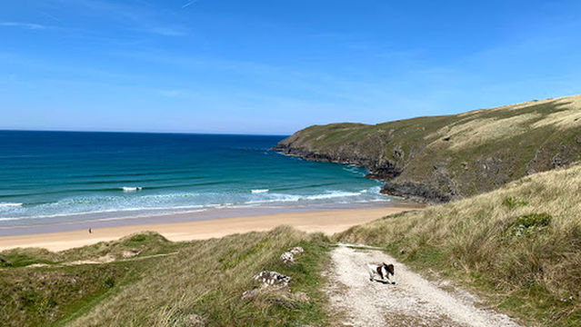 Tollgate Farm Caravan & Camping Park