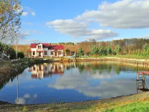 Mary park