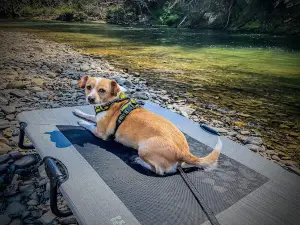Peaceful River Campground