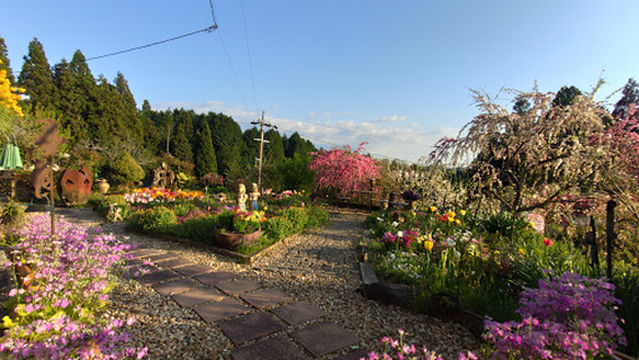 Weeping Peach Blossoms of Kaminaka