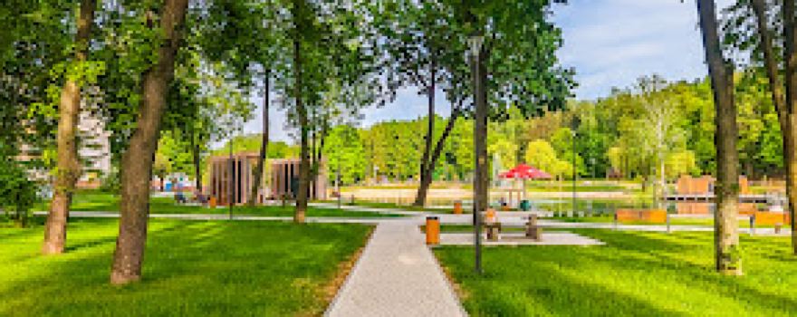 Park Miejski