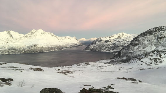 Kågen