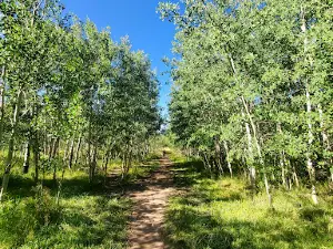 Lady Moon Trailhead