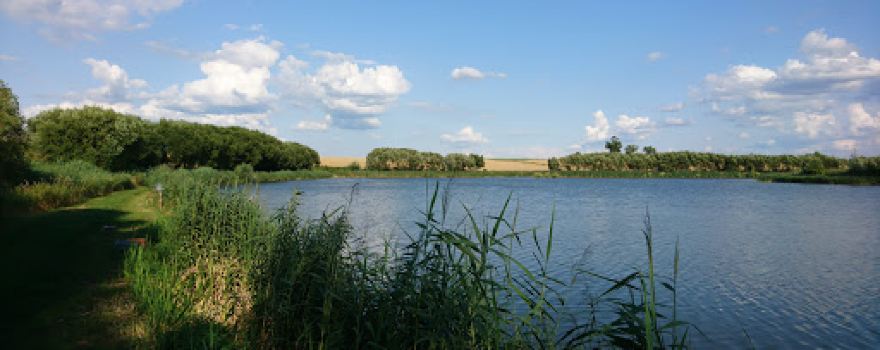 Stawy Karpiowe