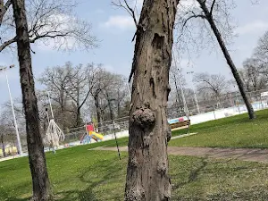 Парк Тейлор