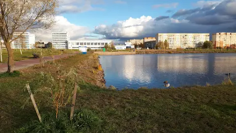 Jinsiy aloqa haqida oquv telekorsatuvlari Yetuk uy vazifasi jinsiy aloqa