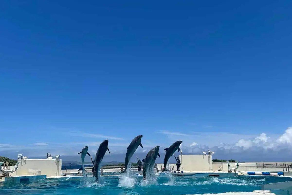 沖繩美麗海水族館