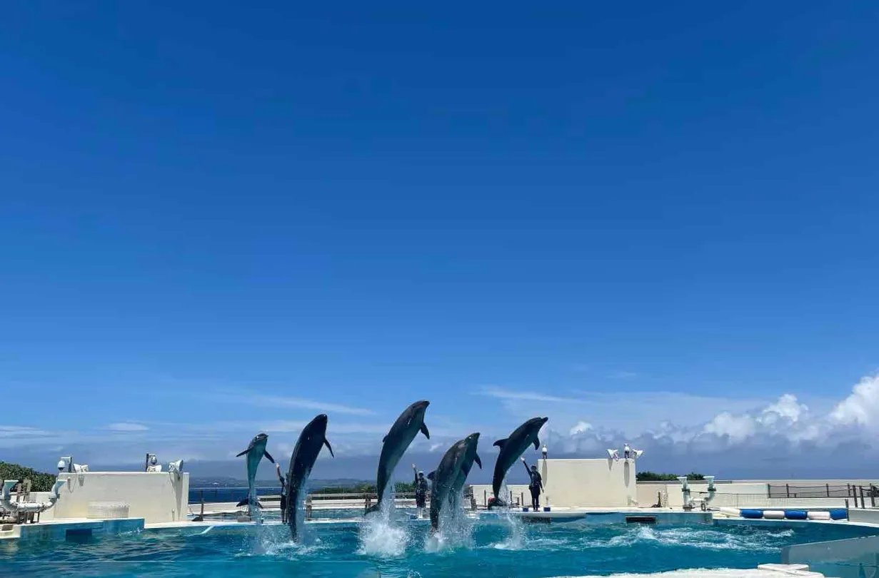2_沖繩美麗海水族館