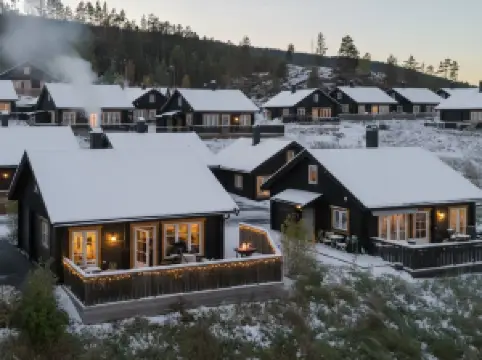 Migliori 10 Stazioni Sciistiche a Buskerud