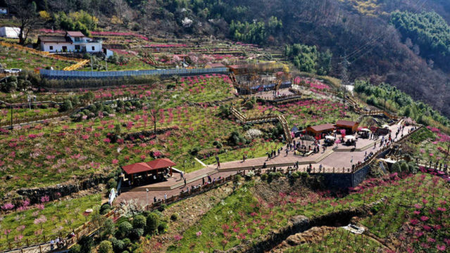 zi wu mei yuan jing qu