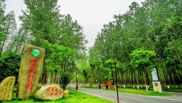 tao nan shi sen lin gong yuan