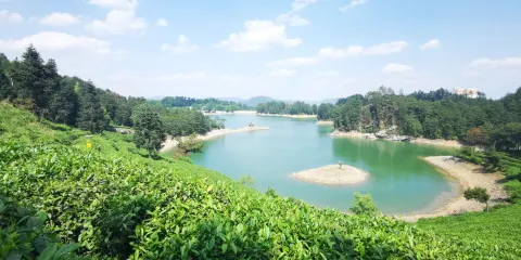 貴定縣雲霧湖濕地體育公園