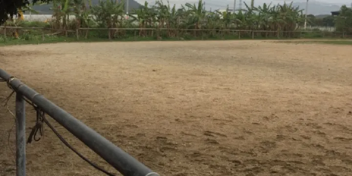 塘廈逍遙騎馬場