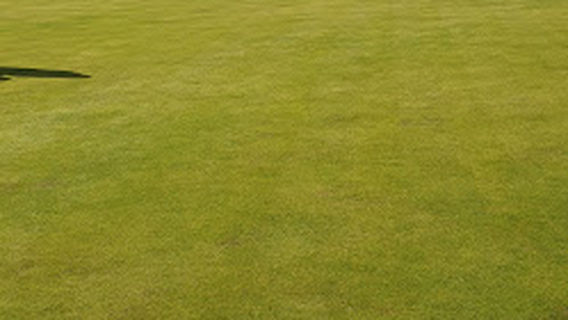 Grangemouth Bowling Club